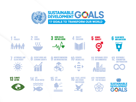 17 sustainable developments goal by UN